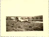 GB0334