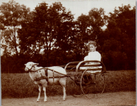 GC0017