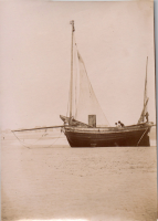 GC0266