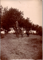 GC0277
