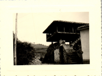 GC0363