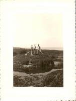 GC0834