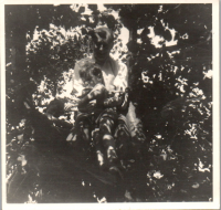 GJ0567