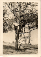 GJ0571