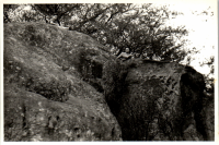 GK0718