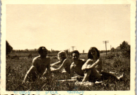 GL0151