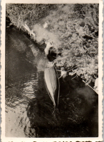 GL0561