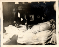 GN0080