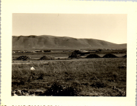 GN0522