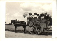 GO0374