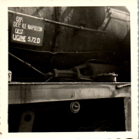 GO0561