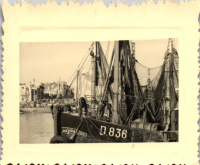 GW0666