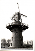 GW0969