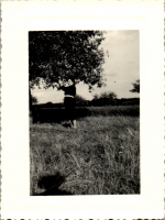 GX0013