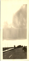 GX0113