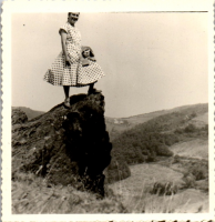 GX0133