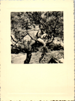GX0194