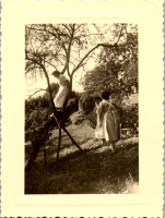 GX0195