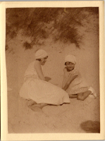 GX0377