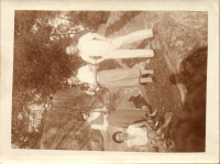 GX0381