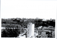 GX0597