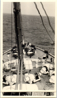GX0851