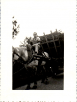 GY0017