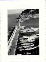 GY0036