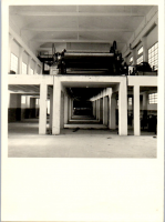 GY0050
