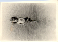 GY0087