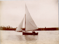 GY0251