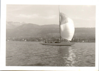 GY0397