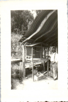 GY0831