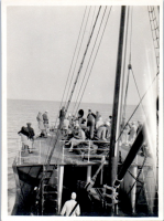 GY0855
