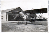 HD0831