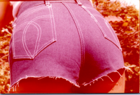 HE0736