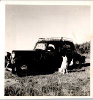 HF0374