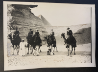 LIV15496