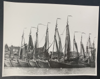 LIV15807