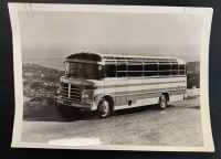 LIV16215