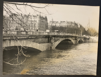 LIV18386