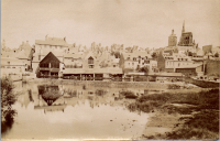 LIV18904