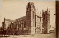 LIV18917
