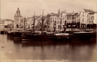 LIV18920