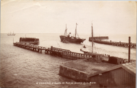LIV18925