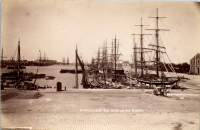LIV18927