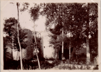 LIV18947