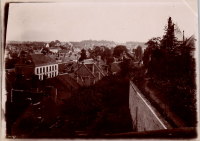 LIV18949