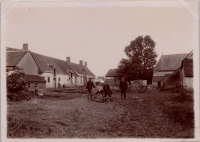 LIV18951