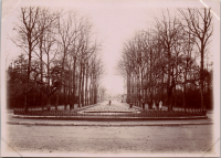 LIV18955